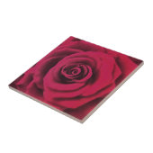 Carreau Grosse Rose rouge (Côté)