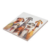 Carreau Groupe de chiens fous drôles (Côté)