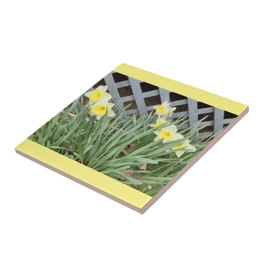 Carreau Groupe de Daffodiles (Côté)