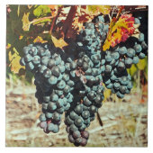 CARREAU "GROUPE DE RAISINS DANGEREUX DE VIN" CÉRAMIQUE TIL (Devant)