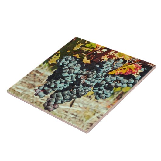 CARREAU "GROUPE DE RAISINS DANGEREUX DE VIN" CÉRAMIQUE TIL (Côté)