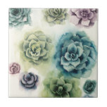 Carreau Groupe de succulents<br><div class="desc">Groupe de succulents. Artiste : Grace Popp. ID d'image : 148320Z.</div>