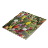 Carreau Groupes de tulipes colorées (Côté)