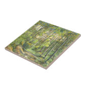 Carreau grove (Côté)