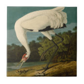 Carreau Grue blanche Audubon Peinture d'oiseaux (Devant)