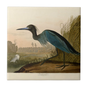 Carreau Grue bleue Héron Impression Audubon Art côtier