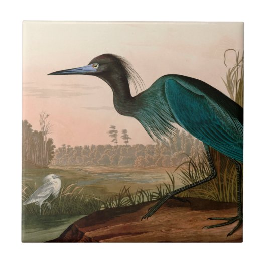 Carreau Grue bleue ou Heron Birds of America Audubon Impri (Devant)