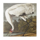 Carreau Grue de huée d'Audubon (Devant)