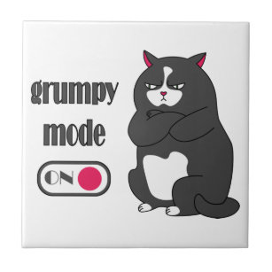 Carreau Grumpy mode on funny fat cat 