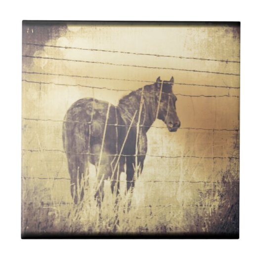 Carreau Grunge de Cheval Noir (Devant)