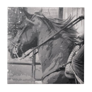 Carreau Grunge de concours hippique noire et blanche