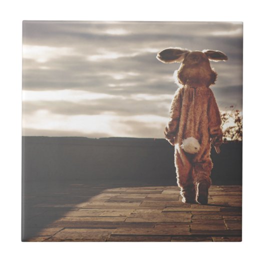 Carreau grunge de lapin (Devant)