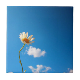 Carreau Grytunderlägg Daisy