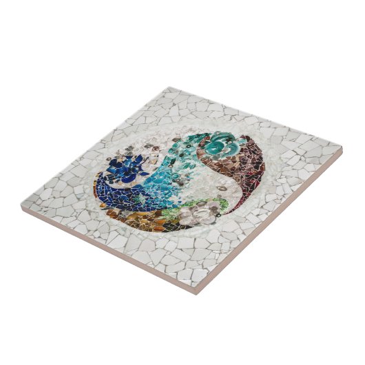 Carreau Guel Park (Côté)