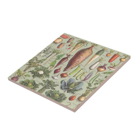 Carreau Guide français du jardin (Côté)