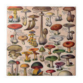 Carreau Guide vintage de champignon (Devant)