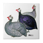 Carreau Guineas trois (Devant)