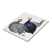 Carreau Guineas trois (Côté)