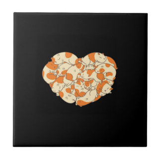 Carreau Guinée Coeur de porc | Bébé mignon guinéen cochon