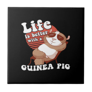 Carreau Guogouin, Guangéou, Cochon De Guinée, La Vie Est M