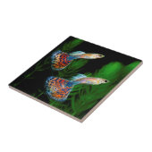 Carreau Guppies (Côté)