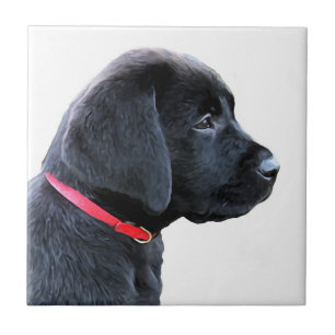 Carreau habillé en rouge - Black Lab