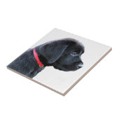 Carreau habillé en rouge - Black Lab (Côté)