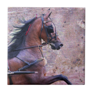 Carreau Hackney Grunge