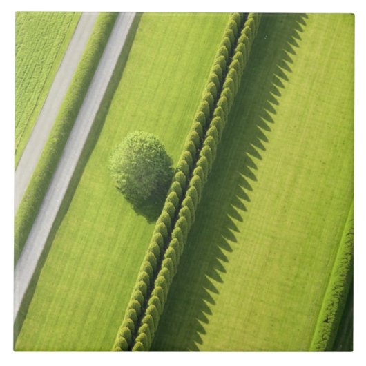 Carreau Haie dans le Hamptons (Devant)