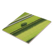 Carreau Haie dans le Hamptons (Côté)