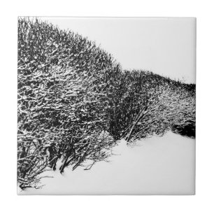 Carreau haie d'hiver