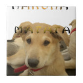 Carreau "Hakuna Matata Pup" - Insouciant Amour des chiots (Devant)