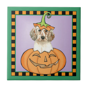 Carreau Halloween Anglais Setter