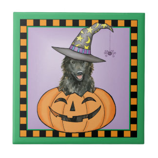 Carreau Halloween belge
