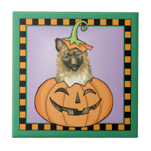 Carreau Halloween Laekenois