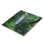 Carreau Hanakapiai tombe le long de la côte de Na Pali, à  (Côté)