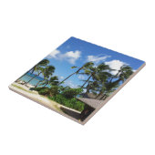 Carreau Hanauma Bay Hawaii Cocotiers (Côté)