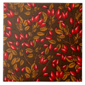 Carreau hanches roses, brune et rouge (Devant)