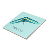 Carreau Hang Gliding (Côté)