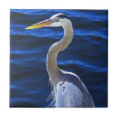 Carreau Hank le héron (Devant)