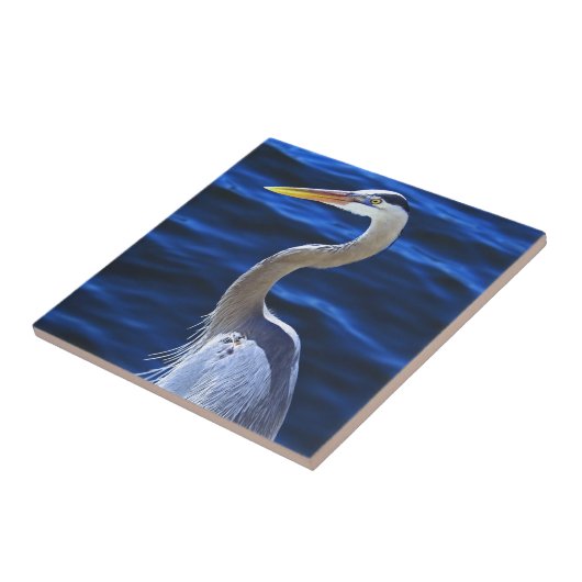 Carreau Hank le héron (Côté)