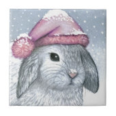 Carreau Hare 14 rabbit (Devant)