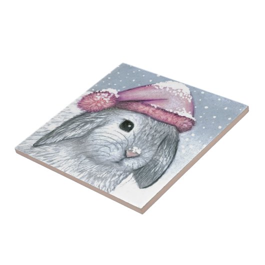 Carreau Hare 14 rabbit (Côté)