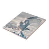 Carreau Harfang des neiges décollant de la neige (Côté)