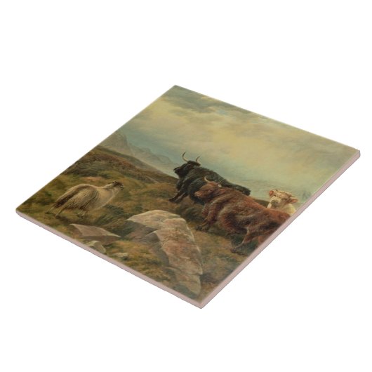 Carreau Hâtiment (Côté)