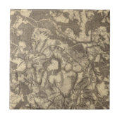 Carreau Hauts pont et Virginie (Devant)