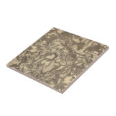 Carreau Hauts pont et Virginie (Côté)