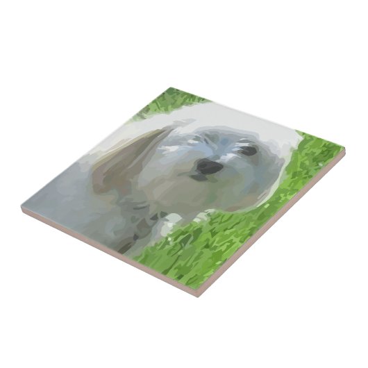 Carreau Havanais (Côté)