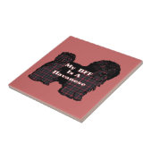 CARREAU HAVANESE BFF (Côté)