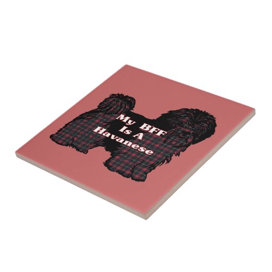 CARREAU HAVANESE BFF (Côté)